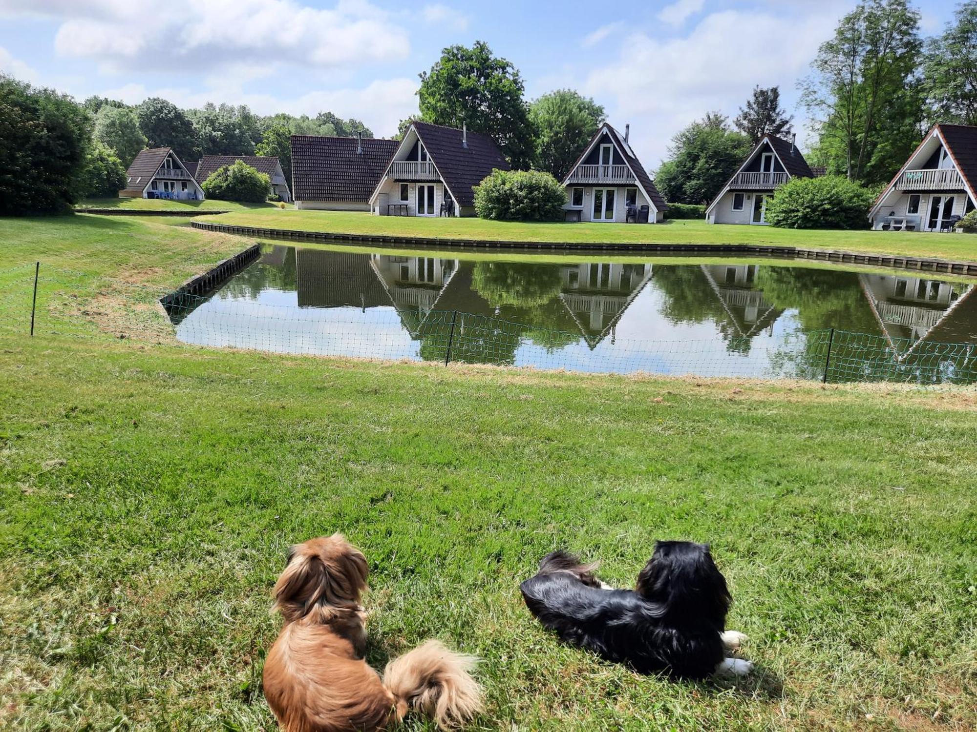 Bungalow De Gouwe aan visvijver, de beste visstek Gramsbergen Buitenkant foto